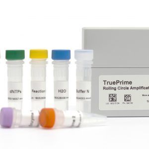4BB™ TruePrime®